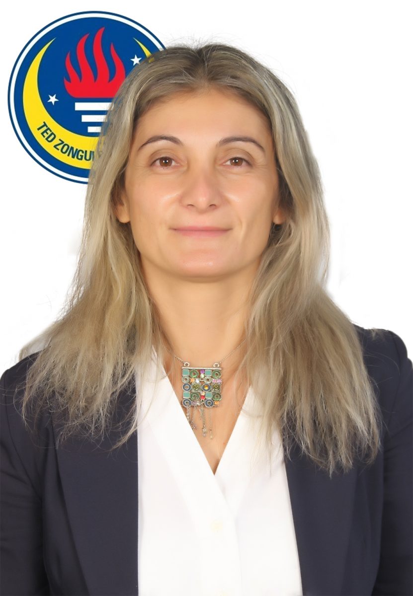 Elif Zeynep ÇOŞKUN DEMİR