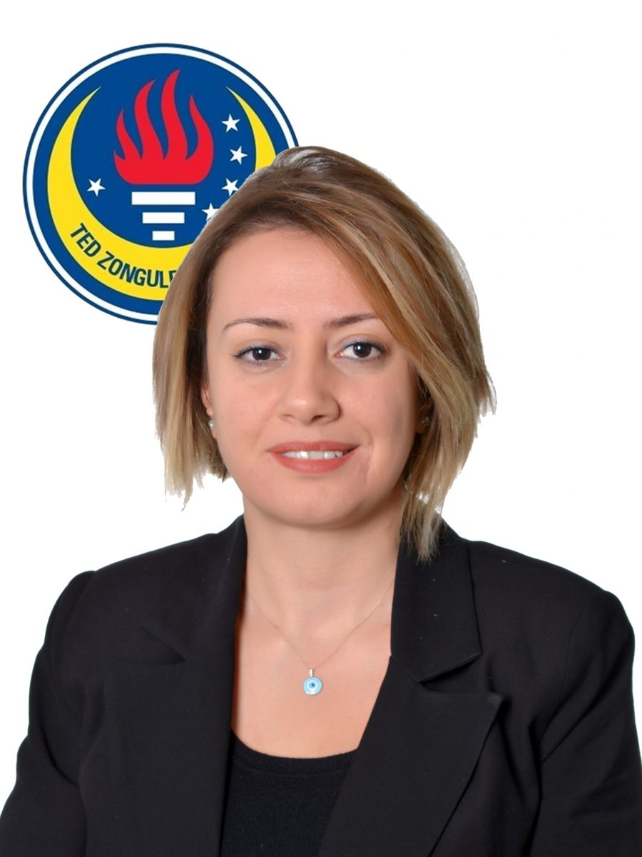 186464 gizem çakır (matematik)