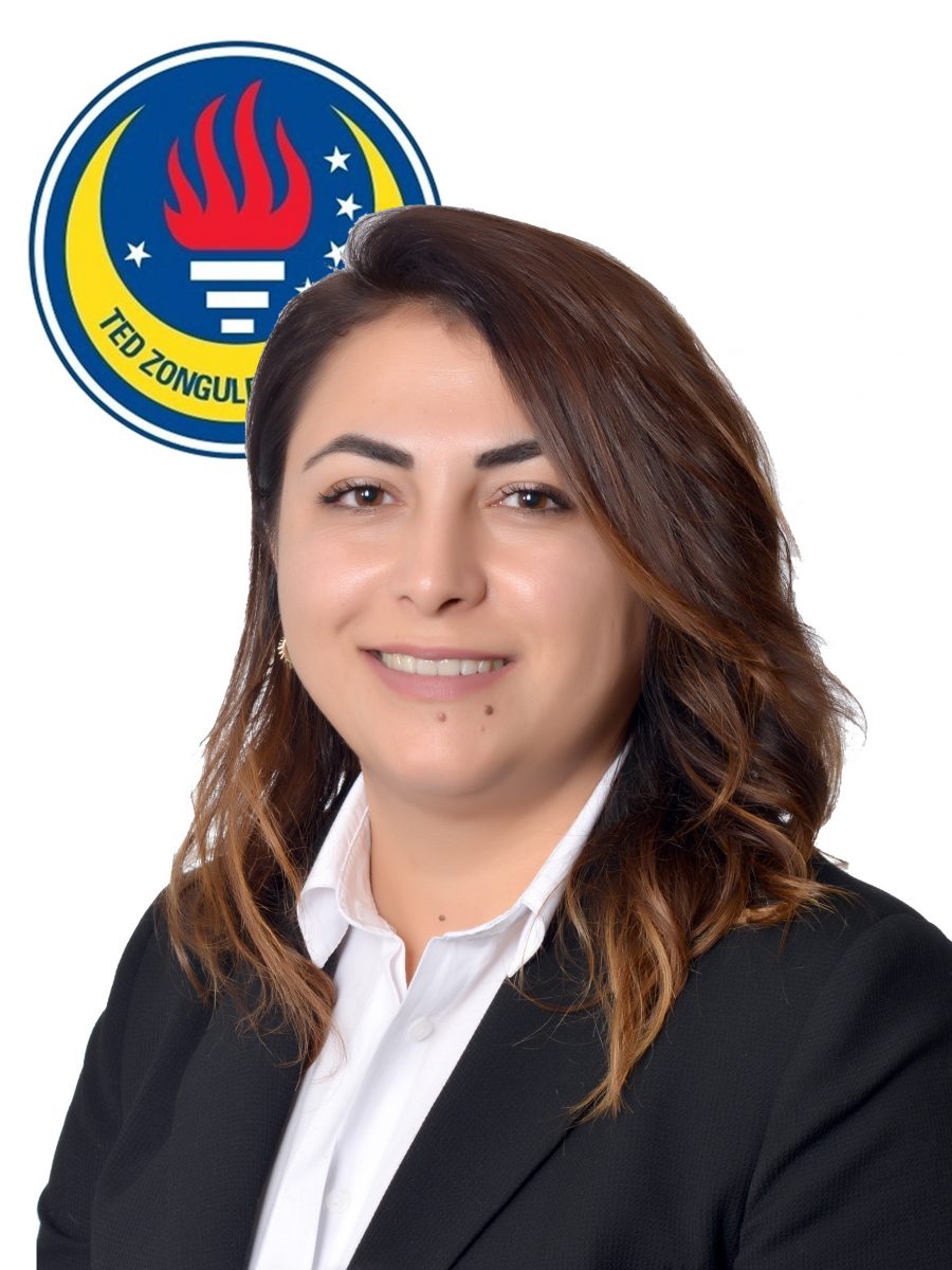 186512 derya akın edebiyat öğretmeni