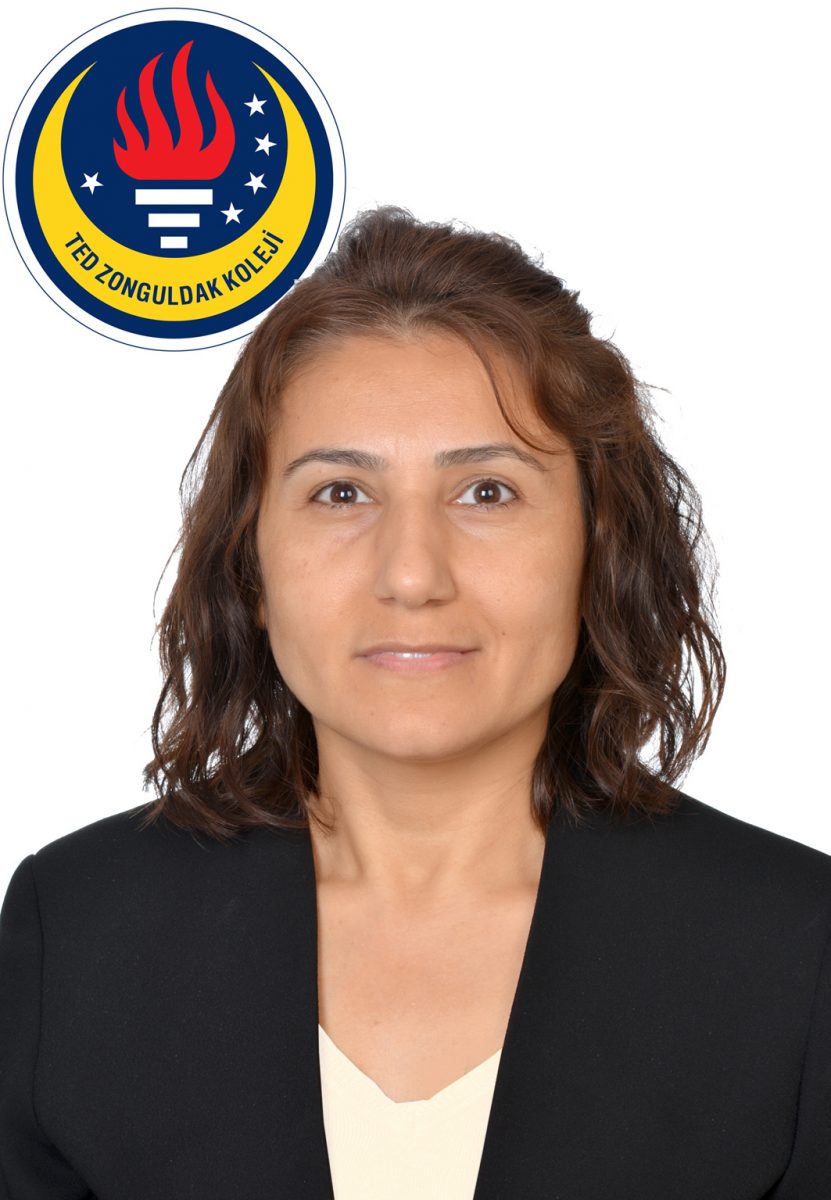 197131 ulviye karaoğlu sosyal bilgiler orta okul